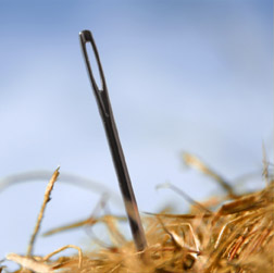 A picture of a needle, sticking out of a hay stack.